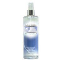 Smells Begone Deodorizer Unscented 12 Oz Pump
