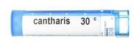 Cantharis 30C, 1 ea ( Multi-Pack)