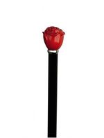 Unisex Red Rose Knob Cane High Gloss Black  -Affordable Gift! Item #DHAR-9139000