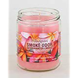Smoke Odor Exterminator 13 oz Jar Candles Frangipani, (2)