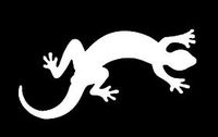 LLI Gecko | Decal Vinyl Sticker | Cars Trucks Vans Walls Laptop | White | 5.5 x 2.8 in | LLI1319