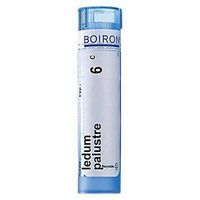 Boiron - Ledum Palustre 6c, 6c, 80 pellets