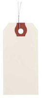 2-7/8" x 5-3/4" White Paper Wire Tag, Includes 12" Wire, Pk1000