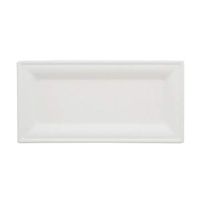 SpecialT Bagasse Plates Compostable Plates 10x5 Inch Rectangular Disposable Plates White Natural Paper Plates 100-Pack