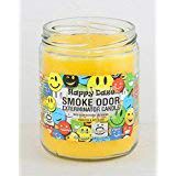 Smoke Odor Exterminator 13oz Jar Candles (Happy Daze, 3)