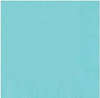 3 Ply Paper Lunch Napkins | 50ct (Robin's Egg Blue)