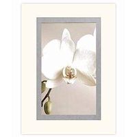 PRINZ Arctic White' mat w/Silver Double Bevel fits 8x10 / displays 5x7-5x7