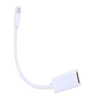 Ffpazig Mini DisplayPort for HDMI Adapter for Apple MacBook/MacBook Pro/iMac/MacBook Air/Mac Mini -White(Accessories)