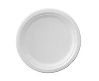 Sugarcane Bagasse Plates-Naturally Organic Eco-Friendly Biodegradable&Compostable, Paper&Plastic Alternative-10 inch Plate (125)