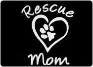 Chase Grace Studio Rescue Mom Adopt a Pet Vinyl Decal Sticker|White|Cars Trucks Vans SUV Laptops Tool Box Wall Art|5" X 5"|CGS264