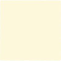 Ivory Solid Supplies and Birthday Party Pack (Ivory Luncheon Napkins)
