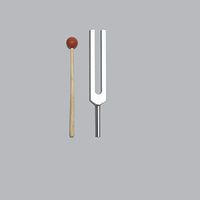 TFS Tuningforkshop 528 Hz Tuning Fork for Healing with mallet+