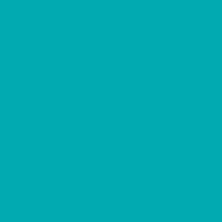 Jillson & Roberts Gift Wrap, Matte Turquoise (8 Rolls 5ft x 30in)