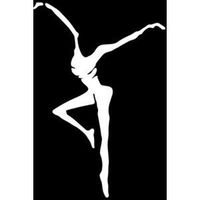 Boston Deals USA Dave Matthews Band Decal Sticker Vinyl Car Home Truck Window Laptop