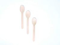 Palm Naki Bamboo Cutlery (40 Count) - Disposable Dinnerware, Compostable and Biodegradable Cutlery (Spoons)