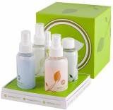 Green Cleaning Products in Small Gift Box from CleansGreen - All Purpose, Glass + Stainless, Carpet + Upholstery, Laundry Detergent, Stain Pen