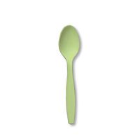 Creative Converting Touch of Color Premium 24 Count Plastic Spoons, Pistachio