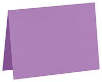 #17 Mini Folded Card (2 9/16 x 3 9/16) - Bright Violet (250 Qty.) | Perfect for Flower Cards, Place Cards, Notes, Invitation Inserts, Personal Stationery and More! | 5080-VIO-250