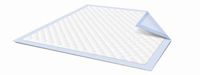 McKesson StayDry Light Underpads 23"x24" - 73423100