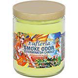 Smoke Odor Exterminator 13 oz Jar Candles Eufloria, (3)