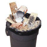 Kirkland Signature 42-gallon 3mil Heavy Duty Contractor Clean up Bags -1bag