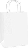 White Kraft Paper Gift/Retail Bags with Handle Pack of 10ct