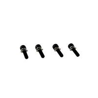Redcat Racing Pull Start Flange Screws (4x16) (4 Piece)