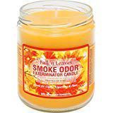 Smoke Odor Exterminator 13oz Jar Candles (Fall N Leaves, 3)