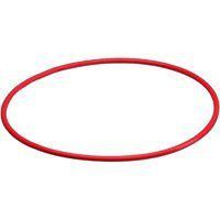 Olympus O-RING UW PPO-02 C-5060