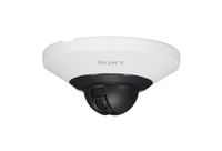 Sony Network Surveillance Camera - Dome - Color (Day&Night) - 1.3 MP - Composite - LAN 10/100 - MPEG-4, H.264 - PoE
