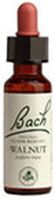 Bach - Flower Essence Walnut - 20 ml