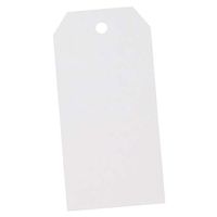 Cardstock Paper Tags – Premium Heavyweight Paper Gift Tags (20 Piece, White)