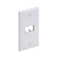 Panduit CFP2WH 1-Gang 2-Port Faceplate, White