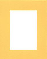 Pack of (5) 11x14 Acid Free White Core Picture Mats Cut for 8x10 Pictures in Yellow
