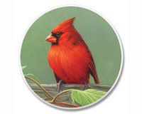 Railbirds Auto Coaster, Single Coaster for Your Car