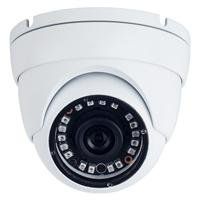 2MP HD Eyeball Dome Camera