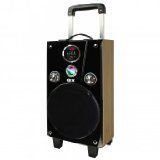 QFX PBX908100BK Port Tailgate Speaker, Black