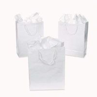 Small White Gift Party Bags 12 Pack