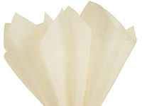Birch Ivory Art DIY Crafts Tissue Paper for Gift Wrapping 20"X26" 5 Sheets
