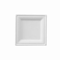 Sugarcane Bagasse Plates-Naturally Organic Eco-Friendly Biodegradable&Compostable, Paper&Plastic Alternative-8 inch Square Plate (125)