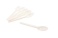 Baumgartens Corn Starch Cutlery, Spoon, White, 100/Pack