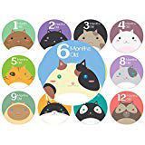 Baby Monthly Stickers | Cat Baby Stickers | Babys First Year 12 Monthly Milestone Stickers Plus 12 Holiday and Special Occasion Stickers