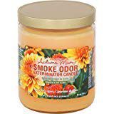Smoke Odor Exterminator 13 oz Jar Candles Autumn Mum (3)
