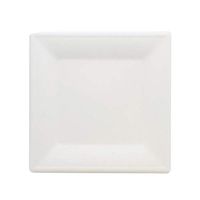 SpecialT Bagasse Plates Compostable Plates 10 Inch Square Disposable Plates White Natural Paper Plates 100-Pack