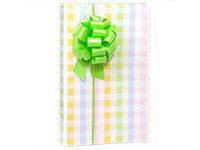 Baby Wrap - Pastel Plaid 24"x417' Gift Wrap Half Ream Roll (1 roll) - Wraps -E5320H24