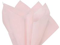 Blush Tissue Paper 20x30" 24 Sheet Mini-Pack (12 Packs) - Wraps-CTQBH