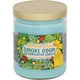 Smoke Odor Exterminator 13oz Jar Candles (Sparkling Juniper, 3)