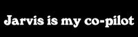 YWS Vinyl Sticker Decal - Jarvis is My Copilot - Sticker Laptop Car Truck Window Bumper Notebook Vinyl Decal SMA6503