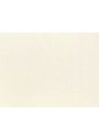 #17 Mini Flat Card (2 9/16 x 3 9/16) - Natural (250 Qty.) | Perfect for Personal Stationery, Business Correspondence, Invitation Inserts, and More! | LEVC933-250