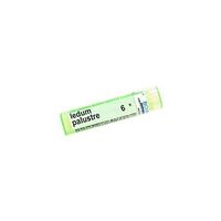 Boiron Ledum Palustre, 6X, Green, 80 Count